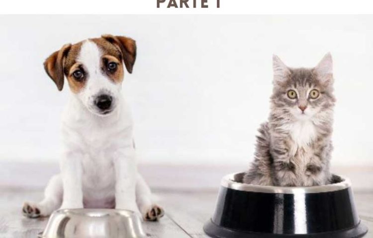 alimentazione cane