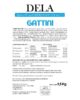 gattini per gatto gattini per gatto